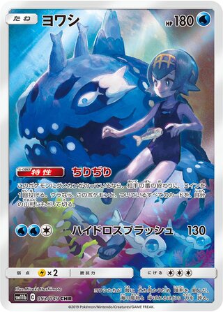 053/049 sm11b