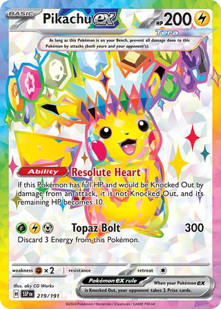 219/191 ssp