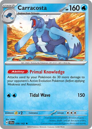 038/142 scr
