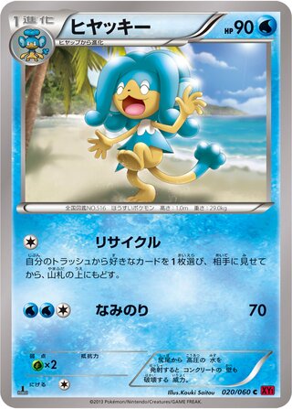 020/060 xy1-by